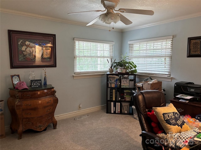 carpeted office space featuring crown molding, a textured ceiling, and ceiling fan