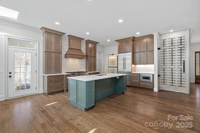 kitchen with a sink, appliances with stainless steel finishes, light countertops, custom exhaust hood, and dark wood-style flooring