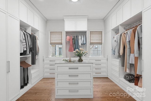 walk in closet with light wood-style flooring