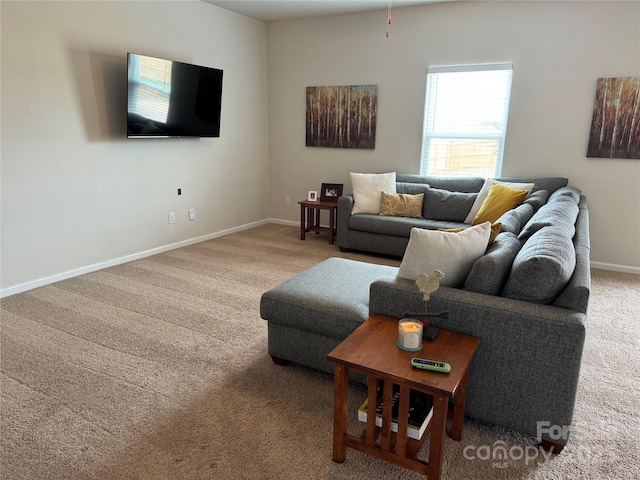 living room with carpet floors