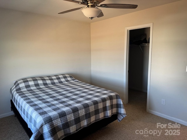 bedroom with ceiling fan, carpet flooring, a closet, and a spacious closet