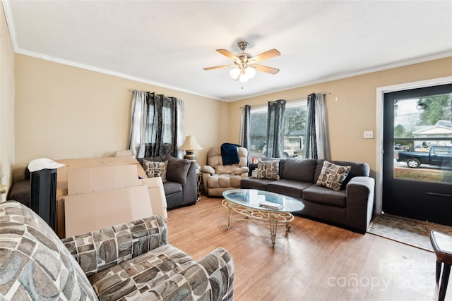 living room featuring crown molding, ceiling fan, and light hardwood / wood-style flooring