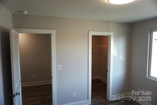 unfurnished bedroom with a spacious closet, dark hardwood / wood-style flooring, and a closet