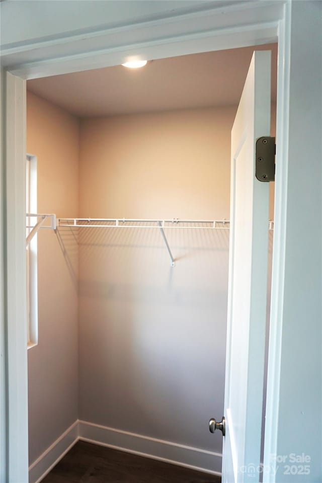 spacious closet with dark wood-type flooring