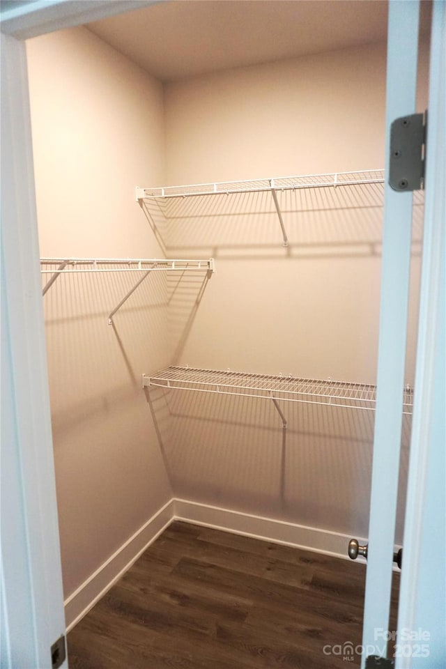 walk in closet with dark wood-type flooring