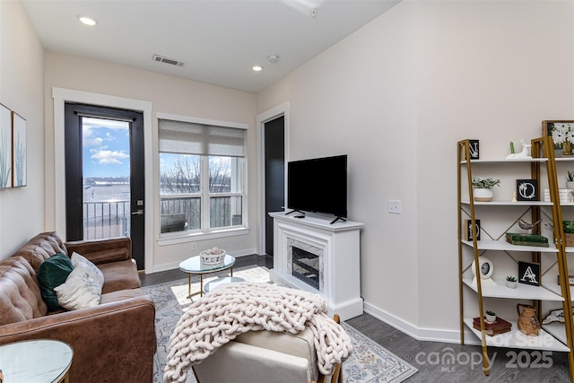 living room featuring a fireplace and dark wood-type flooring