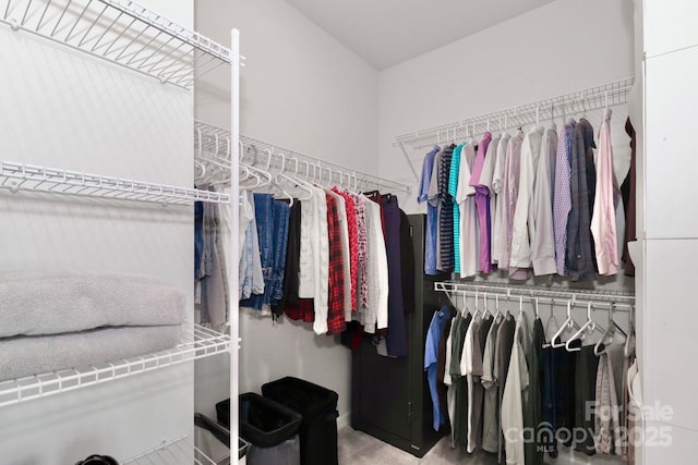 walk in closet featuring carpet floors