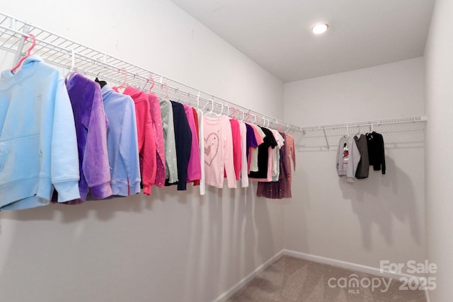 spacious closet with carpet flooring