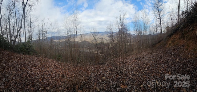 LT1 Varsity Dr, Sylva NC, 28779 land for sale