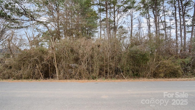 Listing photo 3 for 00 Hillcrest Ave Unit 22/24, Albemarle NC 28001