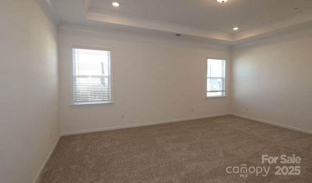 spare room with crown molding, carpet flooring, and a tray ceiling