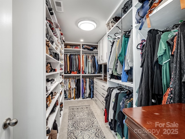 view of walk in closet