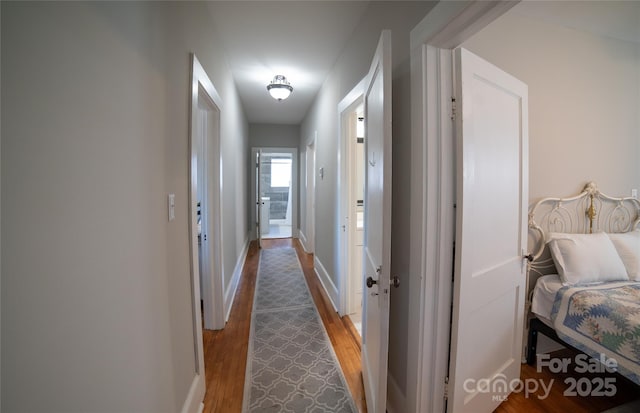 hallway featuring wood-type flooring