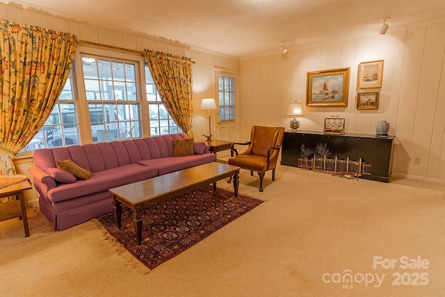 living room with crown molding and carpet flooring