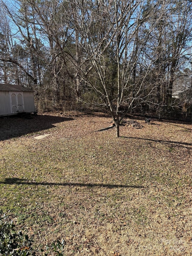 view of yard featuring a storage unit