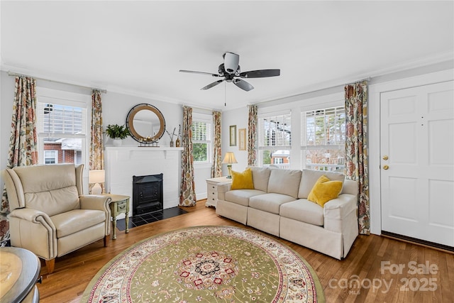 living room with crown molding, hardwood / wood-style floors, and ceiling fan