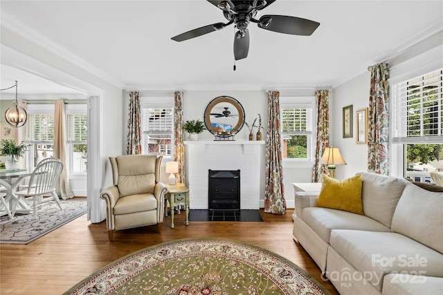 living room featuring crown molding, dark wood-type flooring, and ceiling fan