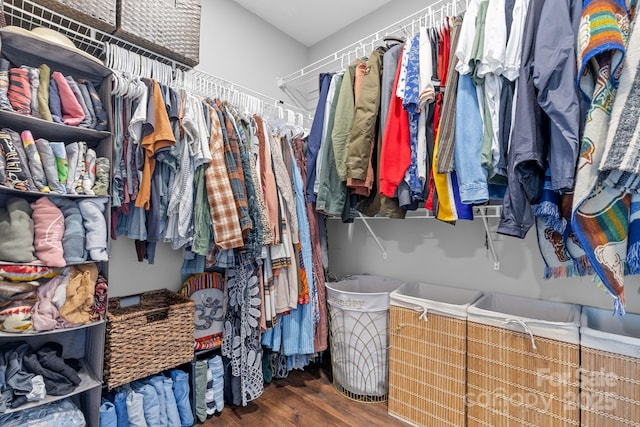 walk in closet with hardwood / wood-style floors