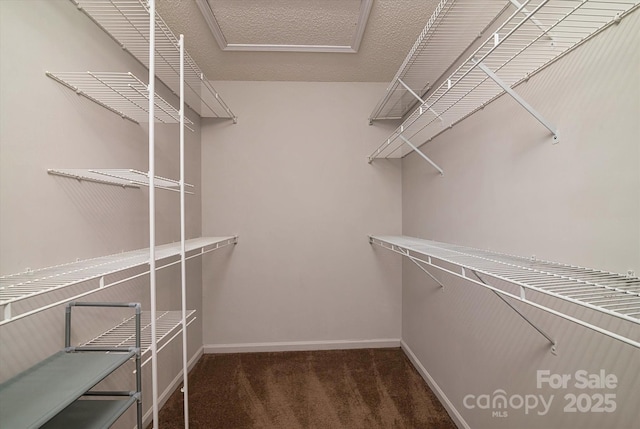 spacious closet with dark carpet