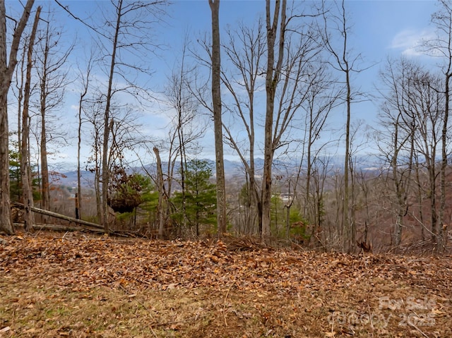 99999 Serenity Ridge Trl Unit 35, Asheville NC, 28804 land for sale