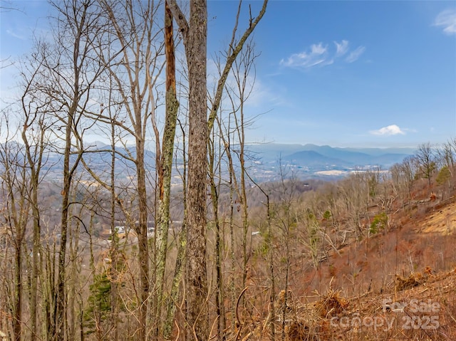 Listing photo 3 for 99999 Serenity Ridge Trl Unit 35, Asheville NC 28804