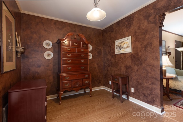 bedroom with hardwood / wood-style flooring and ornamental molding