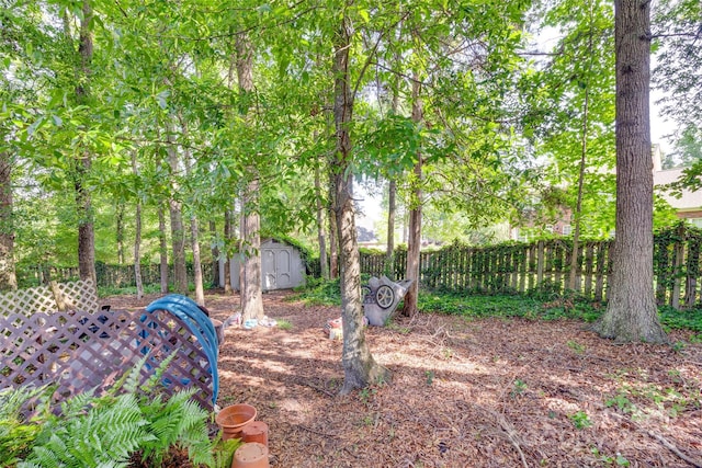 1548 Summit View Dr, Rock Hill, SC 29732 - photo 35