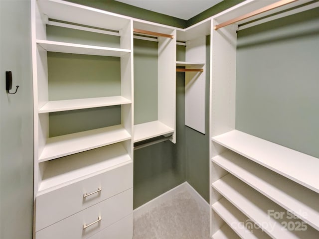 view of spacious closet