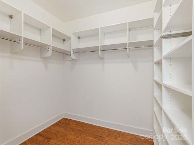 walk in closet featuring hardwood / wood-style flooring