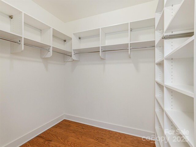 51 Honeycrisp Ct, Flat Rock, NC 28731 - photo 23