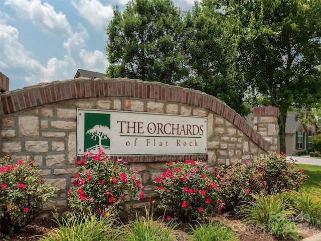 51 Honeycrisp Ct, Flat Rock, NC 28731 - photo 35