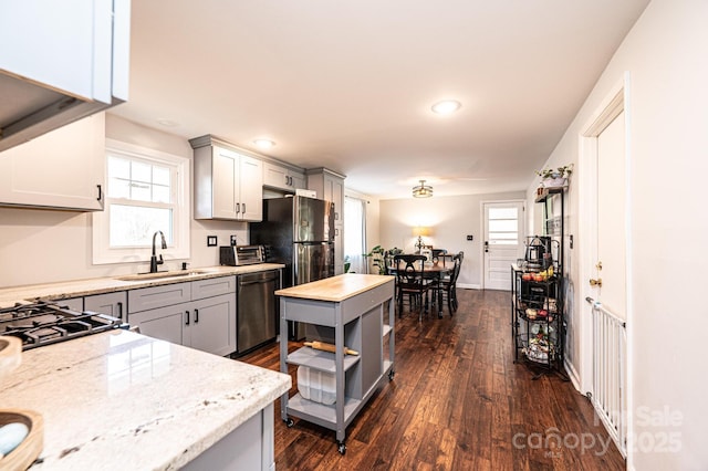 kitchen featuring dishwasher, a sink, a wealth of natural light, and dark wood-style floors