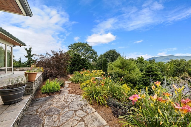 view of yard with a mountain view and a patio area