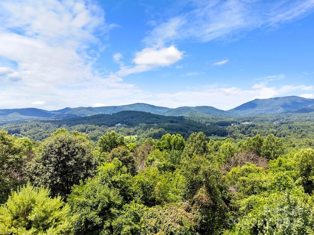 property view of mountains