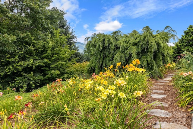 view of nature