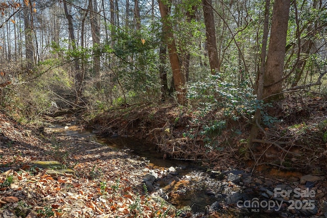 view of local wilderness