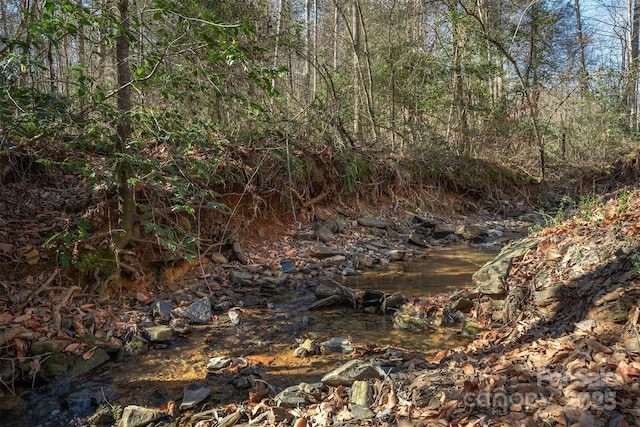 view of local wilderness