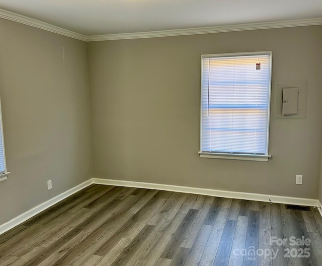 empty room featuring hardwood / wood-style flooring and ornamental molding