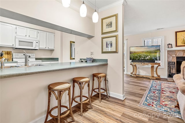 kitchen with white microwave, ornamental molding, light wood-style floors, a fireplace, and a sink