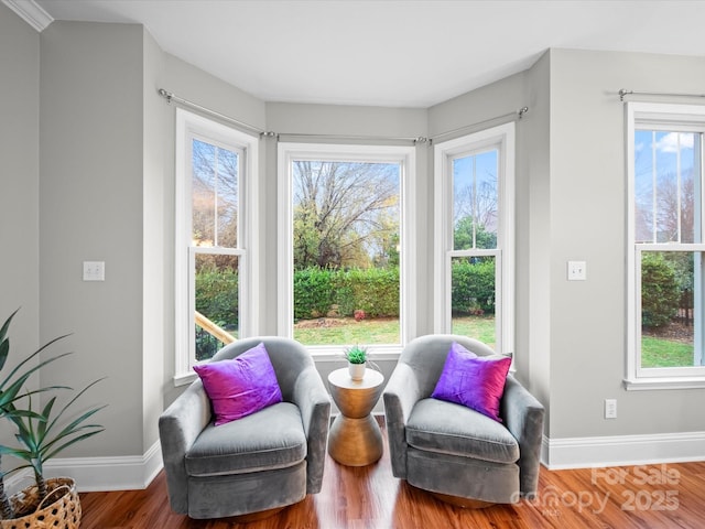 sitting room featuring wood-type flooring