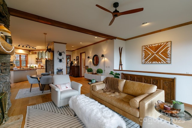 living room with crown molding, ceiling fan, and light hardwood / wood-style flooring