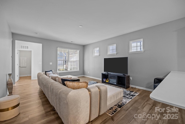 living room featuring wood-type flooring