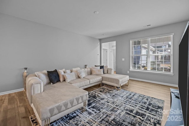 living room featuring wood-type flooring