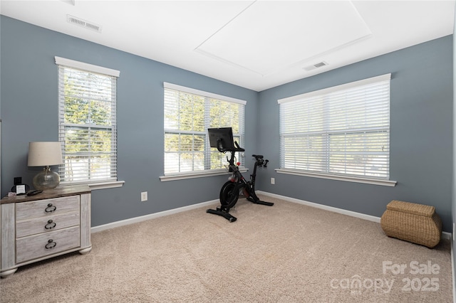 workout room featuring carpet floors