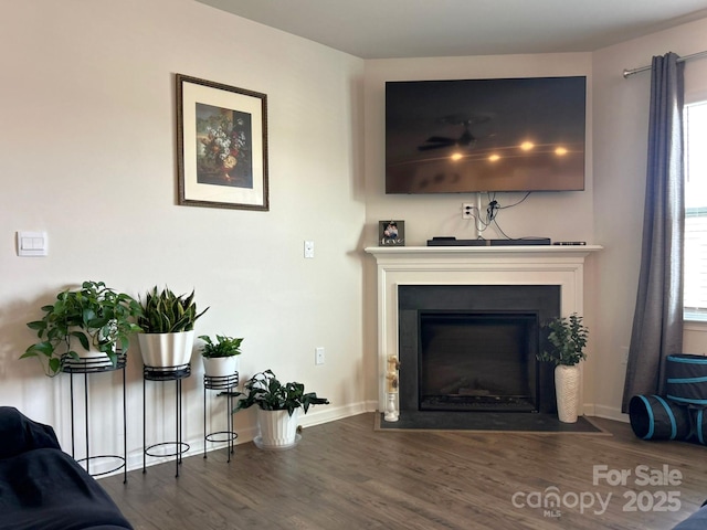 living room with dark wood-type flooring