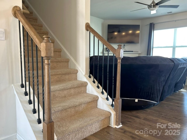 stairway with ceiling fan and wood-type flooring