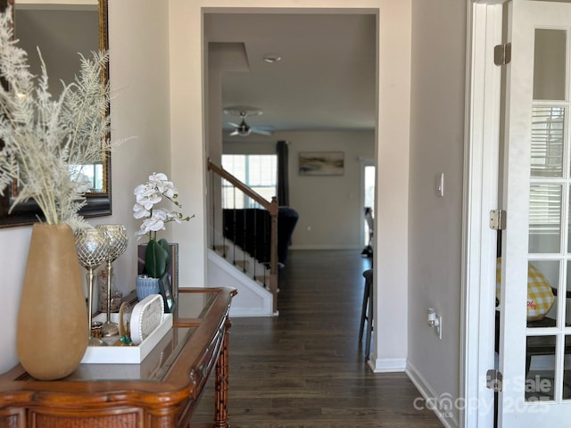 hallway featuring dark hardwood / wood-style flooring