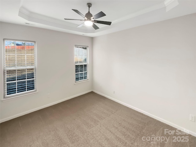 spare room featuring a raised ceiling, ceiling fan, and carpet