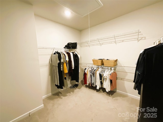 spacious closet featuring light colored carpet