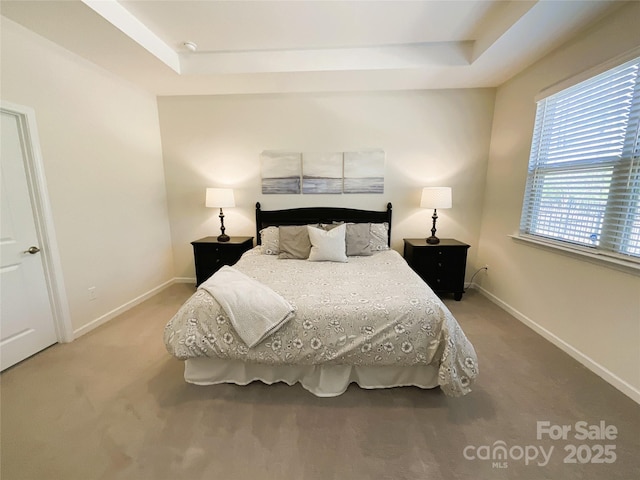 bedroom with a tray ceiling and carpet flooring